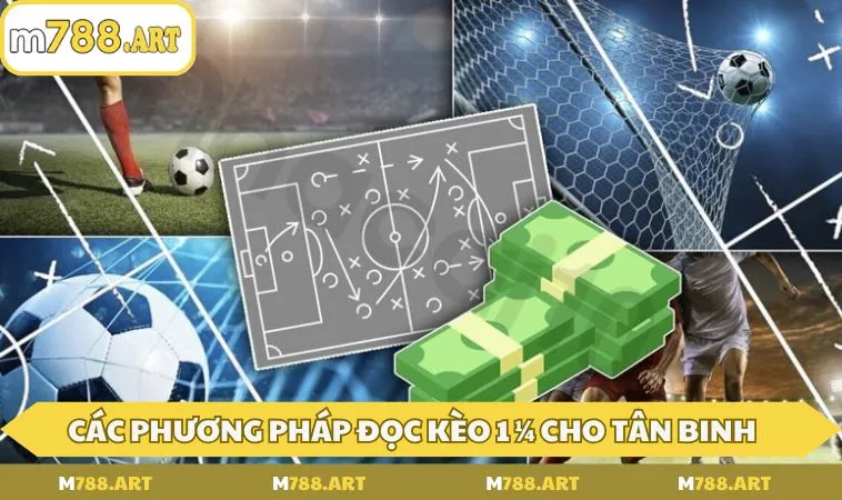 cac phuong phap doc keo 1 ¼ cho tan binh Các phương pháp đọc kèo 1 ¼ cho tân binh