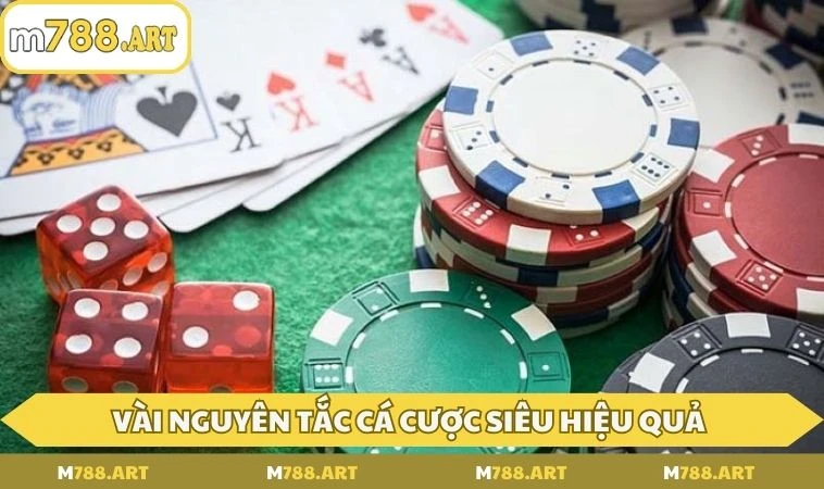 Mách bạn một vài nguyên tắc cá cược siêu hiệu quả