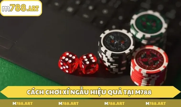 Cách chơi xí ngầu hiệu quả tại M788