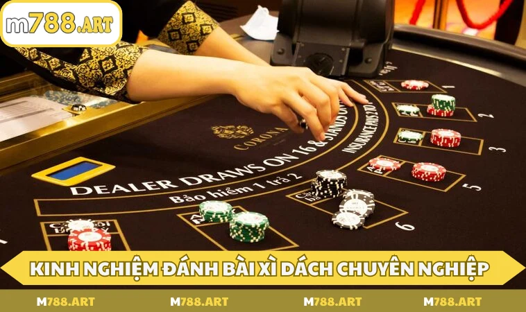 Kinh nghiệm đánh bài xì dách chuyên nghiệp, thắng lớn
